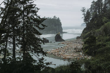 Dramatische Meeresstapel mit Treibholz am Strand von Ruby Beach Washtington - CAVF76967