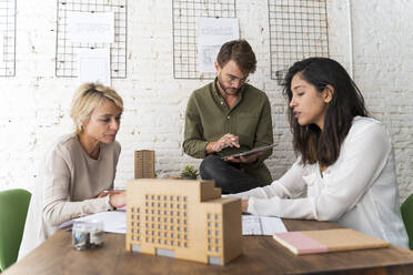 Colleagues discussing in architectural office - AFVF05651