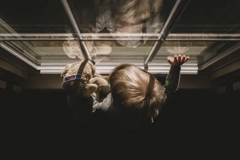 Girl With Teddy Bear By Window At Home - EYF00081