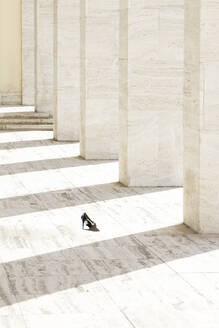 High Angle View Of Abandoned High Heels By Colonnade - EYF00578