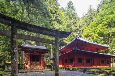 Buddhistischer Tempel Rinnoji Kannondo (Kyoshado), Nikko, UNESCO-Weltkulturerbe, Präfektur Tochigi, Honshu, Japan, Asien - RHPLF13955