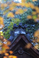 Herbstlaub und Tempelbau, Kyoto, Kansai, Japan, Asien - RHPLF13975