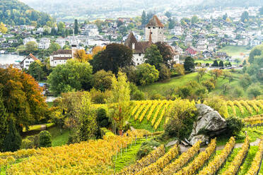 Schloss Spiez umgeben von Weinbergen im Herbst, Thunersee, Kanton Bern, Schweiz, Europa - RHPLF14025