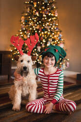 Junge mit Elfenmütze und Hund mit Geweih sitzen vor einem Weihnachtsbaum. - CAVF77116