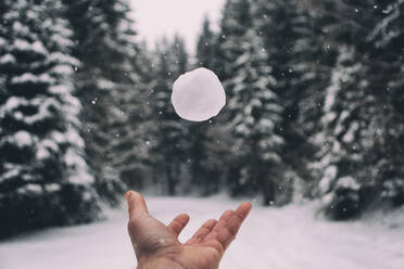 Menschliche Hand, die einen Schneeball gegen Bäume wirft - EYF00679