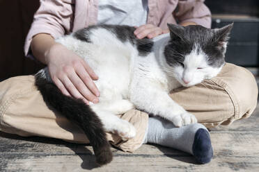 Tiefschnitt eines Jungen, der mit gekreuzten Beinen sitzt, während eine Katze auf ihm schläft, Tarusa, Russland - EYAF00950
