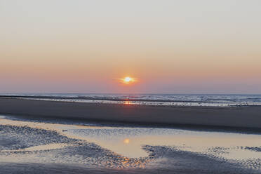 Entfernte Ansicht einer Möwen-Silhouette am Strand vor orangefarbenem Himmel bei Sonnenuntergang, Nordseeküste, Flandern, Belgien - GWF06538