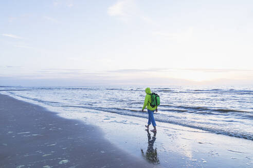 Älterer Mann im Ruhestand mit Rucksack, der bei Sonnenuntergang am Strand spazieren geht, Nordseeküste, Flandern, Belgien - GWF06548