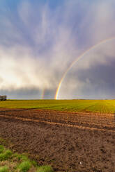 UK, Schottland, Doppelter Regenbogen über landwirtschaftlichem Feld - SMAF01852