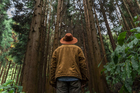 Mann steht in einem von Bäumen umgebenen Wald, Insel Sao Miguel, Azoren, Portugal - AFVF05681