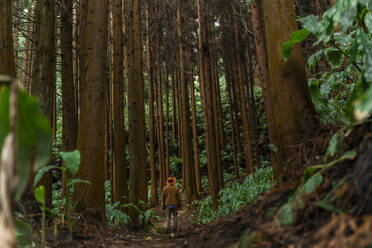 Mann steht auf einem Waldweg umgeben von Bäumen, Insel Sao Miguel, Azoren, Portugal - AFVF05682