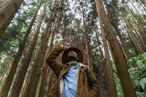Mann steht in einem von Bäumen umgebenen Wald, Insel Sao Miguel, Azoren, Portugal - AFVF05686