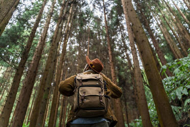 Mann steht in einem von Bäumen umgebenen Wald, Insel Sao Miguel, Azoren, Portugal - AFVF05687