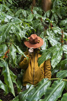Mann steht im Wald, umgeben von riesigen Blättern, Insel Sao Miguel, Azoren, Portugal - AFVF05691