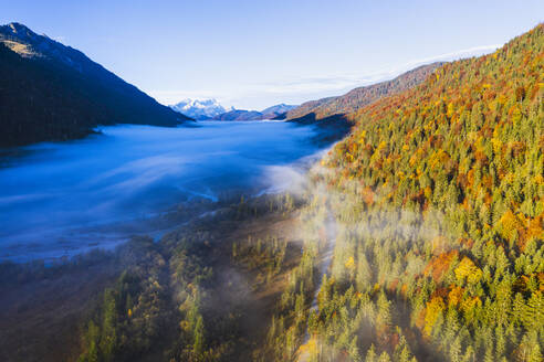 Deutschland, Bayern, Nebel über der Isar, die durch ein bewaldetes Tal im Wettersteingebirge fließt - SIEF09632