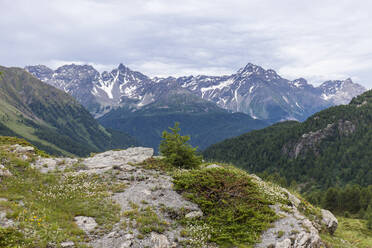 Schweiz, Kanton Graubünden, Aussicht auf den Berninapass - TCF06266