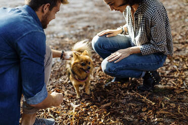 Junges Paar mit Hund in einem Park - SODF00719