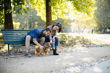 Glückliches junges Paar mit Hund in einem Park auf einer Bank sitzend - SODF00724