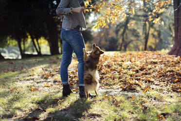 Junge Frau spielt mit Hund in einem Park - SODF00727