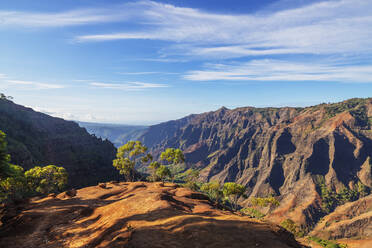 Waimea Canyon State Park, Insel Kauai, Hawaii, Vereinigte Staaten von Amerika, Nord-Amerika - RHPLF14093