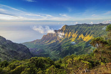 Pali Meeresklippen am Kalalau Aussichtspunkt, Napali Küste, Kokee State Park, Kauai Insel, Hawaii, Vereinigte Staaten von Amerika, Nord Amerika - RHPLF14096