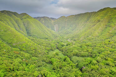 Luftaufnahme einer Drohne vom Halawa-Tal, Insel Molokai, Hawaii, Vereinigte Staaten von Amerika, Nordamerika - RHPLF14121