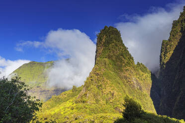 Iao Needle State Park, Insel Maui, Hawaii, Vereinigte Staaten von Amerika, Nord-Amerika - RHPLF14148