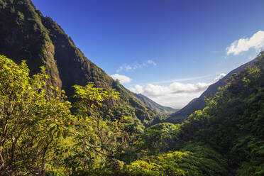 Iao Needle State Park, Maui Island, Hawaii, United States of America, North America - RHPLF14149