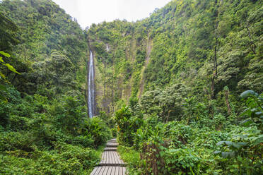 Pipiwai trail, Waimoku falls, Haleakala National Park, Maui Island, Hawaii, United States of America, North America - RHPLF14161