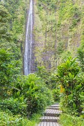 Pipiwai trail, Waimoku falls, Haleakala National Park, Maui Island, Hawaii, United States of America, North America - RHPLF14162