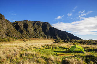 Campingplatz, Haleakala National Park, Insel Maui, Hawaii, Vereinigte Staaten von Amerika, Nordamerika - RHPLF14178
