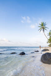 Ein Einheimischer trägt Kokosnüsse am Nordstrand, Little Corn Island, Islas del Maiz (Maisinseln), Nicaragua, Mittelamerika - RHPLF14194