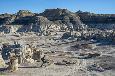 Wanderung um die Hoodoo-Sandsteinformationen in der Bisti/De-Na-Zin Wilderness, New Mexico, Vereinigte Staaten von Amerika, Nordamerika - RHPLF14239