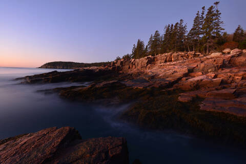 Seashore, Maine, Neuengland, Vereinigte Staaten von Amerika, Nordamerika, lizenzfreies Stockfoto