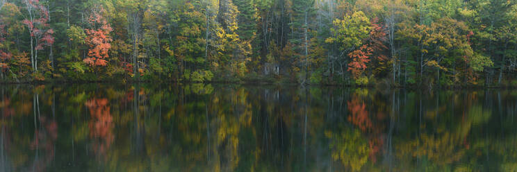 Herbstlaub spiegelt sich im See, Maine, Neuengland, Vereinigte Staaten von Amerika, Nordamerika - RHPLF14300