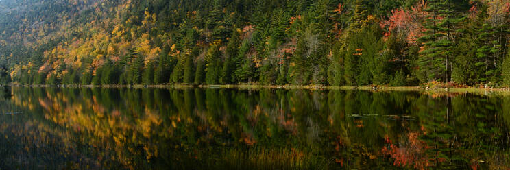 Herbstlaub spiegelt sich im See, Maine, Neuengland, Vereinigte Staaten von Amerika, Nordamerika - RHPLF14305