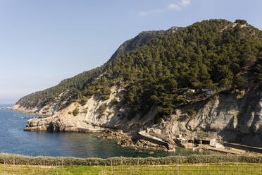 Blick auf die Küste, Cala Banyalbufar, Mallorca, Spanien - VABF02661