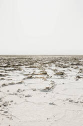 Salzwüste in der Danakil-Senke, Äthiopien, Afar - LHPF01150