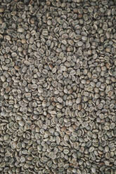 Roasted coffee beans - JPIF00519