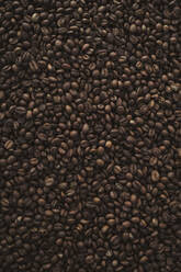 Geröstete Kaffeebohnen - JPIF00520