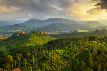 Luftaufnahme einer Drohne vom Wald, Belogradchik, Bulgarien, Europa - RHPLF14323