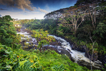 Hilo, Big Island, Hawaii, Vereinigte Staaten von Amerika, Nordamerika - RHPLF14364