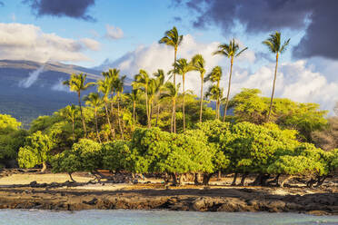 Mahai'ula Beach, Big Island, Hawaii, Vereinigte Staaten von Amerika, Nordamerika - RHPLF14373