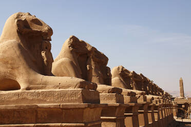 Allee der Sphinxen, Karnak-Tempel, UNESCO-Weltkulturerbe, Luxor, Theben, Ägypten, Nordafrika, Afrika - RHPLF14416