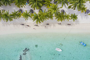 Touristen auf Pferden am palmengesäumten Strand, Luftaufnahme, Halbinsel Le Morne Brabant, Black River, Mauritius, Indischer Ozean, Afrika - RHPLF14459