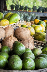 Fresh coconut and tropical fruit in straw baskets, La Gaulette, Black River district, Mauritius, Indian Ocean, Africa - RHPLF14464