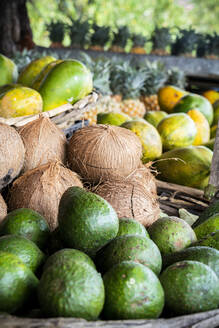 Frische Kokosnüsse und tropische Früchte in Strohkörben, La Gaulette, Bezirk Black River, Mauritius, Indischer Ozean, Afrika - RHPLF14464