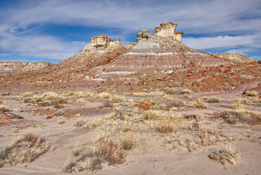 Hoch aufragende Hoodoos im Jasper Forest des Petrified Forest National Park, Arizona, Vereinigte Staaten von Amerika, Nordamerika - RHPLF14504