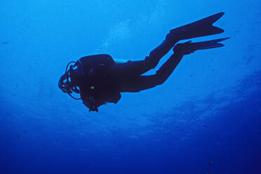 Silhouette eines Tauchgangs mit einer Kamera unter Wasser auf den Kanalinseln - CAVF77213