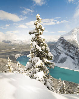 Verschneiter Lake Louise, Banff, Albert, Kanada - CAVF77366